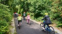 People in Laois to have say on new greenway