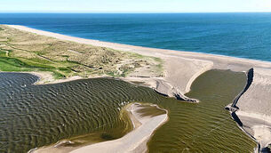 Neil Young and The Chrome Hearts announce Cork concert