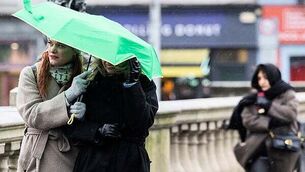 Dignity for Patients group calls for meeting with Taoiseach over Michael Shine abuse