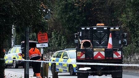 Woman (19) seriously injured after being struck by a truck in Co Limerick