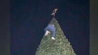 Anger as 'gobshite' climbs Laois Christmas Tree