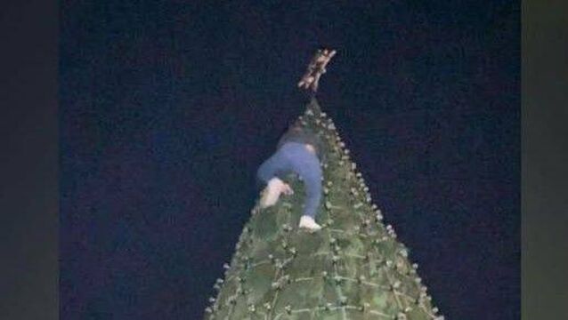 Culprit comes forward after climbing Laois Christmas Tree