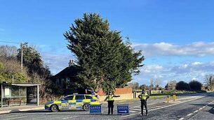 County quiz series: Is Galway the largest county in Ireland?