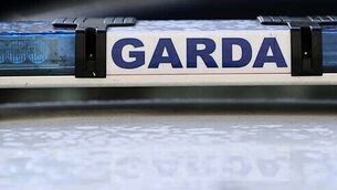 Ryanair to pay €20,000 to boy (14) whose foot was burned during flight