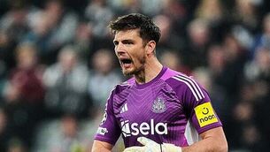 Olympic-sized ice rinks and over 1,600 jobs: Inside Dublin's winter sports arena