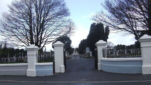 Appeal for crossing at ‘lethal’ Portlaoise cemetery