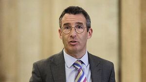 Testing ramped up after bluetongue virus thought likely to have reached Co Down