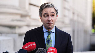 'Vulnerable' mother caught with firearms arsenal 'secreted' under stairs gets four years 'Vulnerable' mother caught with firearms arsenal 'secreted' under stairs gets four years