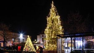 <p>The 2024 Mountmellick Christmas Tree. File image</p>