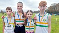 St Abban’s Juveniles prove Electric in Stradbally 