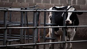 Joint Committee on Traveller issues to discuss Travellers in prison