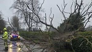 Emergency crews in Laois clear fallen trees and power lines
