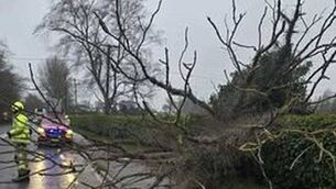 <p>Emergency crews in Laois have been clearing fallen trees and power lines around the county. Photo: Laois Co Council</p> <p>Emergency crews in Laois have been clearing fallen trees and power lines around the county. Photo: Laois Co Council</p>