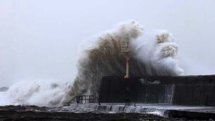 Mother-of-one sustained 14cm wound to her neck, murder trial hears Mother-of-one sustained 14cm wound to her neck, murder trial hears