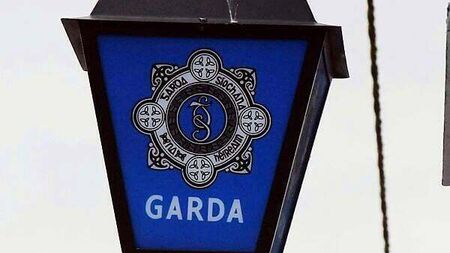 Man (30s) charged in connection with stolen cattle in Co Cork