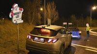 Skoda driver in Laois gets sleigh ride from gardaí