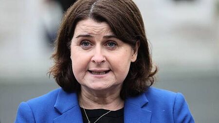 Stricter rules for puppy farms is ‘something people want action on’, Dáil hears