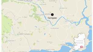 Anti-vaccine activist pleads guilty to assaulting garda Anti-vaccine activist pleads guilty to assaulting garda