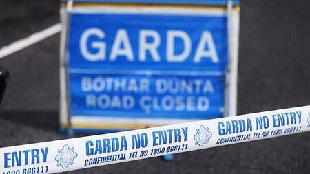 Woman (70s) in critical condition after late-night Kerry crash