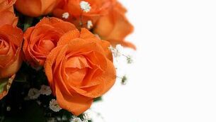 Government should ban taxi fare algorithms, TD says Government should ban taxi fare algorithms, TD says