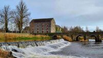 Arches blocked in landmark Laois bridge