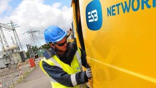 <p>Long delays in providing electricity connections in Laois have been repeatedly criticised at council meetings. Photo: ESB Networks file image</p>