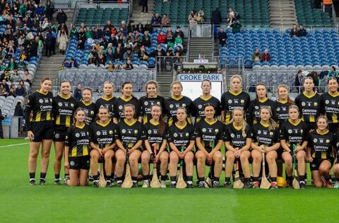 Fitzgerald to the fore as Camross are crowned All-Ireland Champions