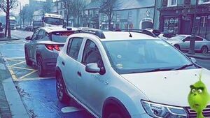 Gardaí seize car from Laois Grinch