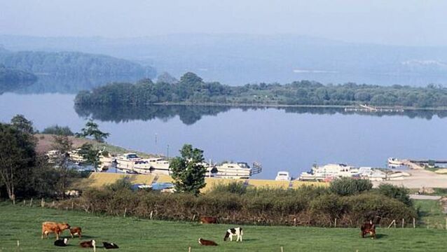 Vigilance urged as quagga mussel discovered for first time in North