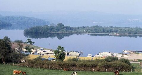 Vigilance urged as quagga mussel discovered for first time in North