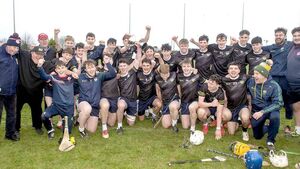 Onions and Bourke the heroes as Clan na nGael are crowned champions
