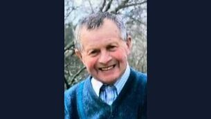 ‘Immediate, co-ordinated’ approach to AI needed across government – report