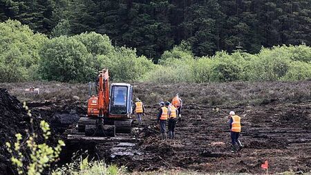 Latest search for Disappeared teenager Columba McVeigh ends without success