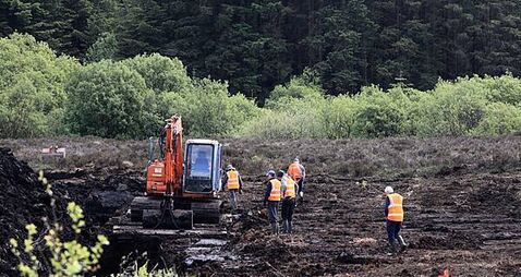 Latest search for Disappeared teenager Columba McVeigh ends without success