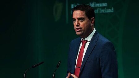 Bluetongue vaccine to be allowed in Ireland next year