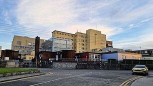 Bill to ban fox hunting defeated in Dáil Bill to ban fox hunting defeated in Dáil