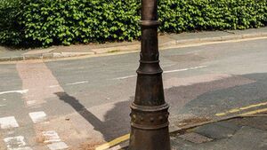 Joggers nearly poleaxed by Portlaoise ‘lamppost’