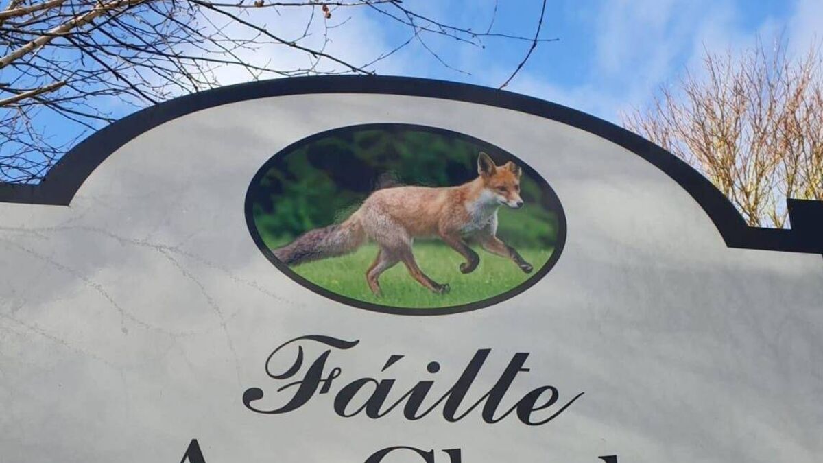 Improvements planned for ‘model’ Laois village