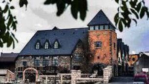 <p>Dinn Rí Hotel, Carlow. File image </p>