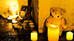 Police release new image as they probe days of disorder in the North