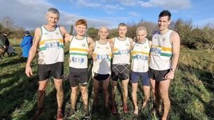 <p>The successful Laois Senior Men's winning team</p>