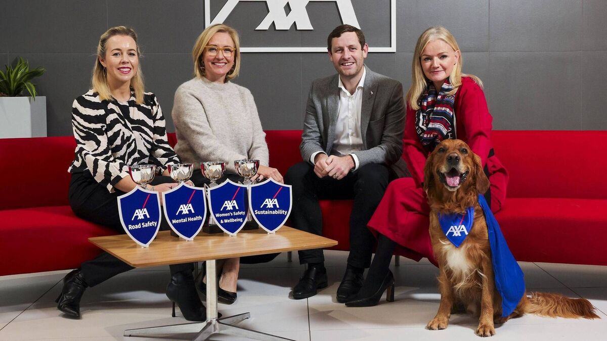 Search for Laois heroes with €80k prize fund