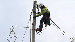 Highest dose of MDMA ever recorded in Ireland found at Electric Picnic