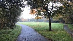 <p>The Triogue Linear Park in Portlaoise. File image</p>