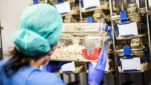 Outpouring of love following death in accident of Indian father of two, visitation hears