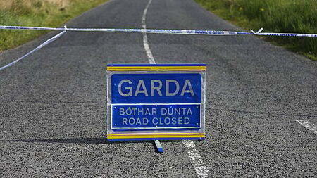 Man (80s) dies from injuries after being struck by a car in Co Clare