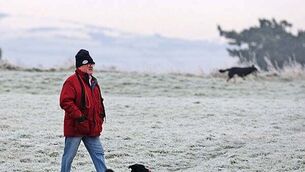 Man (40s) arrested in connection with fatal hit-and-run in Co Meath