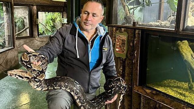 Reptile expert warns over ‘surprising’ lack of regulation on exotic pets