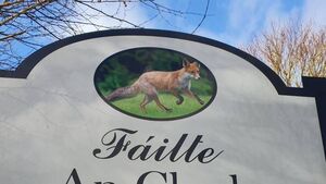 Improvements planned for ‘model’ Laois village