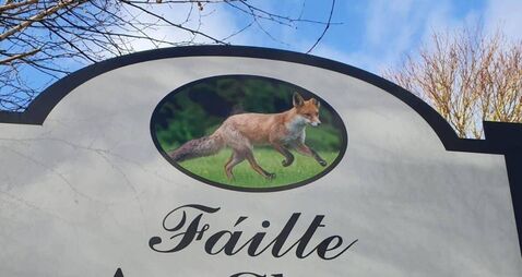 Improvements planned for ‘model’ Laois village